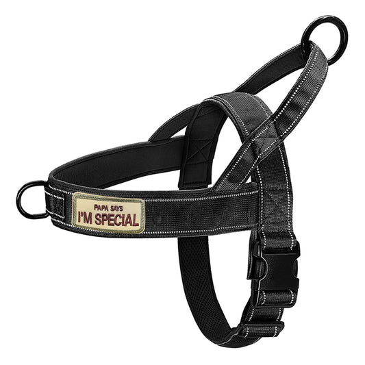 Triangular Reflective Harness