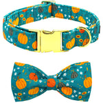 Autumn Pumpkin Bow Collar