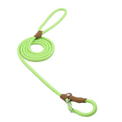 Durable Nylon Dog Collar & Leash Set
