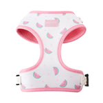 Padded Mesh No-Pull Harness