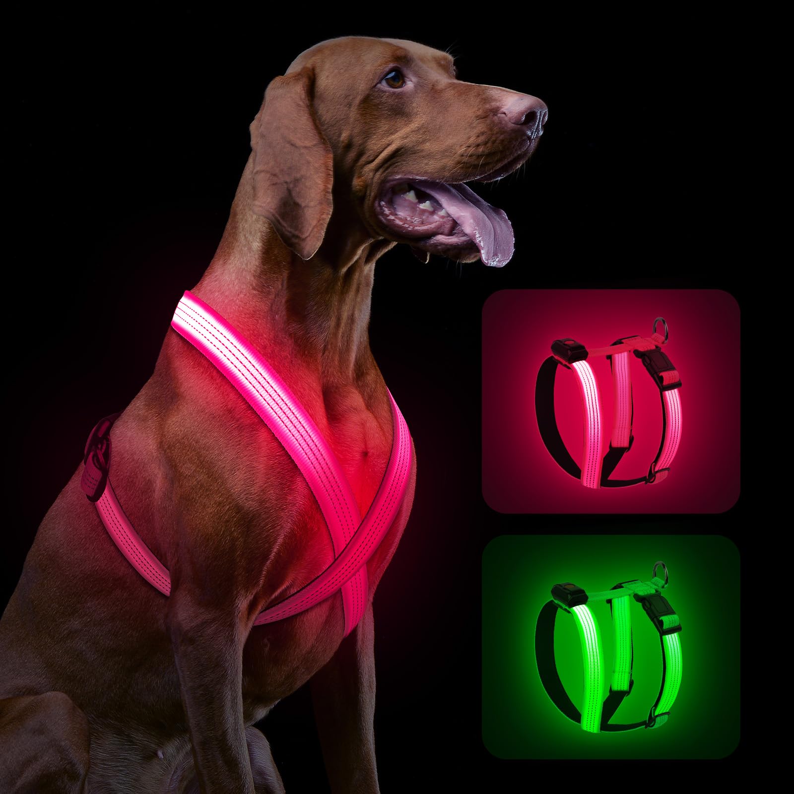 LED Light-Up Dog Harness