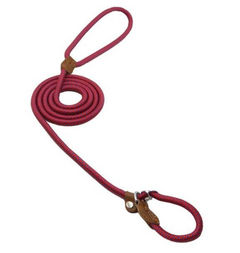 Durable Nylon Dog Collar & Leash Set
