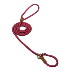Durable Nylon Dog Collar & Leash Set