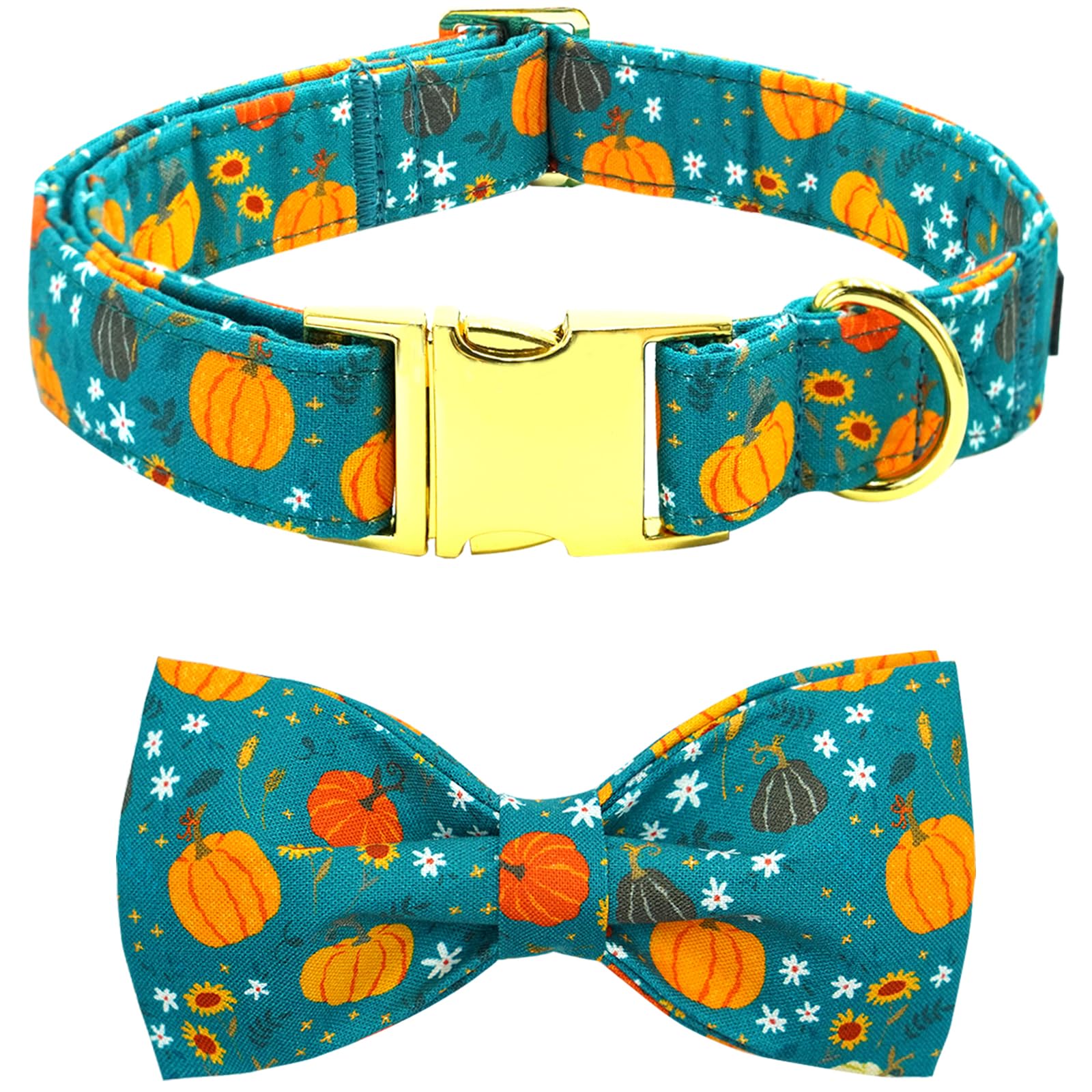 Autumn Pumpkin Bow Collar