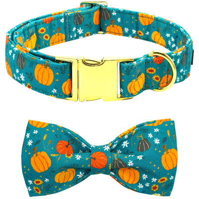 Autumn Pumpkin Bow Collar