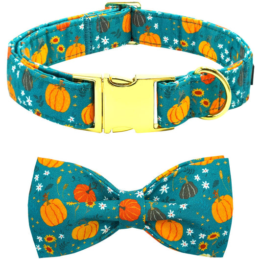 Autumn Pumpkin Bow Collar