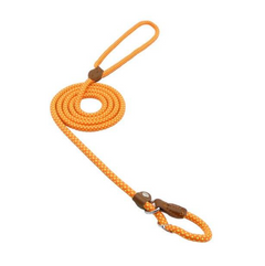 Durable Nylon Dog Collar & Leash Set