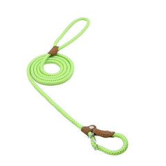 Durable Nylon Dog Collar & Leash Set