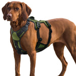 Escape-Proof Reflective Harness