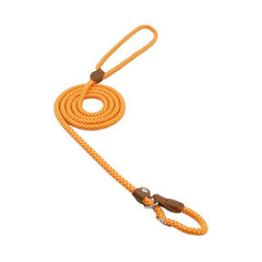 Durable Nylon Dog Collar & Leash Set