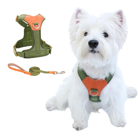 No-Pull Harness Leash Set