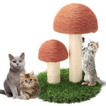 Mushroom Cat Scratching Post