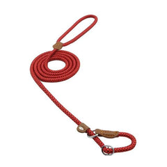 Durable Nylon Dog Collar & Leash Set